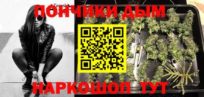 PSILOCYBIN Моздок