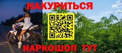 PSILOCYBIN Моздок